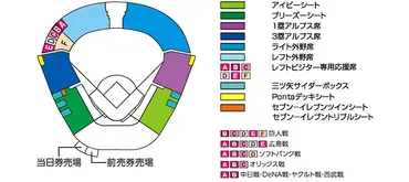 甲チケで甲子園球場のレフトビジター専用応援席券購入（画像多め） : 永遠日誌