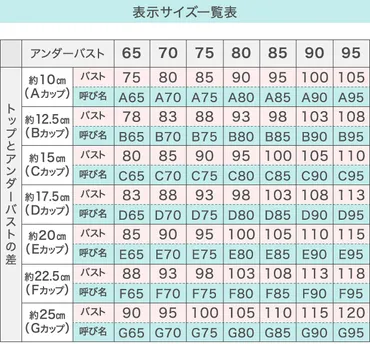 知っているつもりで知らないかも?ブラジャーのサイズの測り方「キホンのキ」