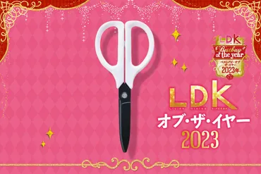 コクヨ製】ハサミを切り比べた結果、セブンがめちゃめちゃ優秀でした【LDKベストバイ2023】