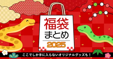 アウトドア・スポーツの福袋年の販売スケジュール一覧【サッカー、野球】–買い物ウォッチ