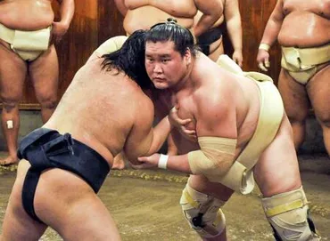 照ノ富士初場所出場に意欲「やれることをやってきた」公開稽古で錦富士らを相手に9戦全勝スポーツデイリースポーツ