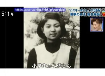 八代亜紀に兄弟がいるって本当?両親など実家の家族もまとめた!