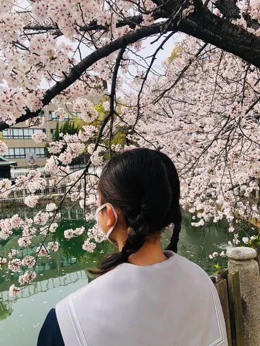 ダイアモンドユカイの娘の学校は大阪の名門中学校!名前は田所新菜