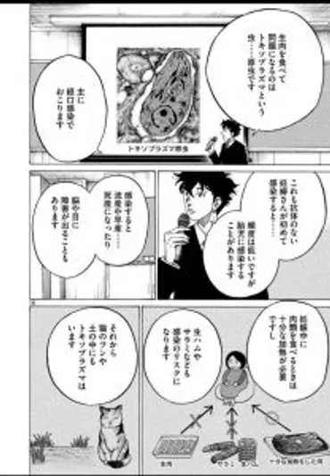 コウノドリで、サイトメガロウイルスとトキソプラズマが取り上げられました!
