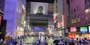 トー横キッズ支援の元代表が逮捕、少女と交わした「婚前契約書」の意味は?