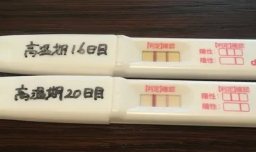 双子の妊娠検査薬】フライング体験談!陰性もしくは濃くなるってほんと?