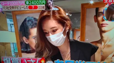 宮崎麗香シングルマザーが美人!離婚した旦那や実家や年収は?経歴!【ゼロイチ】