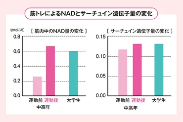 寿命を延ばす長寿遺伝子を働かせるカギは「空腹」と「運動」
