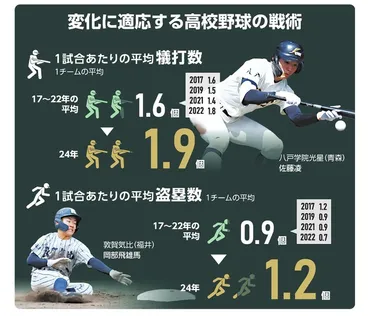 聖地の芝に「シン高校野球」の痕跡低反発バットで戦略と守備も変化