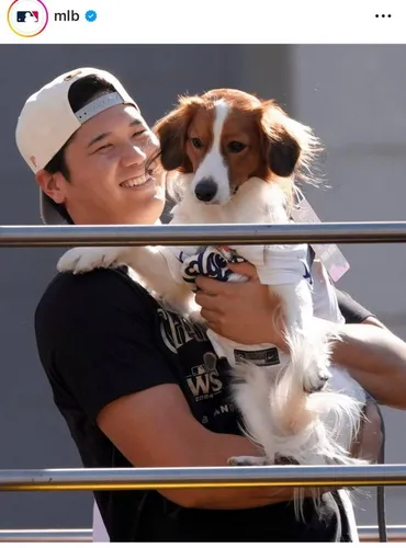 大谷翔平の愛犬・デコピンの注目度が抜群!米メディアが相次ぎ詳報「デコイと一緒に」「OMG」大谷の腕に抱っこされ大リーグデイリースポーツ