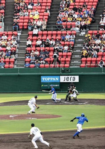 ファン4193人熱戦に声援プロ野球ファーム日本選手権