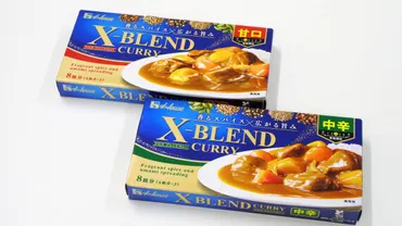 ハウス食品約年ぶりの新カレールウ「