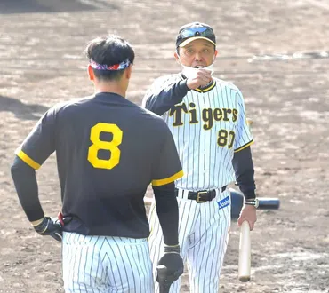阪神・岡田監督が佐藤輝に熱血初指導そら猫パンチ脱却よ「レベルスイング」意識付け阪神タイガースデイリースポーツ