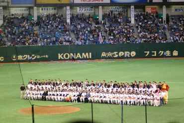 ありがとう東京」北海道移転を決めたファイターズ、東京ドームでの本拠地最終戦【回想】敗戦処理。生観戦録-第回年平成年編あいウオッチ-敗戦処理。ブログ