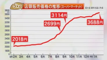 コメ価格高騰の要因と政府の対策とは？米の価格はどうなる？(？)米価高騰と政府の備蓄米放出