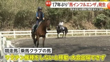馬インフルエンザ、再び？熊本県での発生と対策について(？)17年ぶりの発生！馬インフルエンザの現状と対策