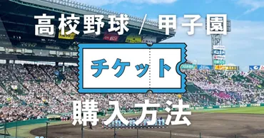 年最新】高校野球チケット購入方法