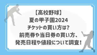 高校野球】夏の甲子園チケットの買い方は？前売券や当日券の買い方、発売日程や値段について調査！
