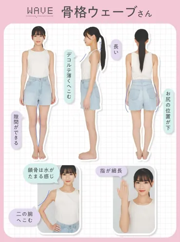 チャートで簡単骨格タイプ診断!ストレート・ウェーブ・ナチュラルそれぞれの特徴は?