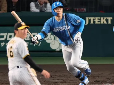 日本ハム移籍でもう勝「バットを持つと輝き増す」山崎福也…オリックス時代の゛相棒゛が語る「サチさんの素顔」「由伸、宮城へ秘めた思い」