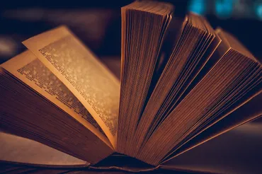 人はなぜ本を書きたいのかを考える【考察】