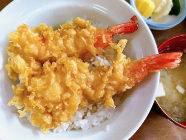 笑いを巧みに織り成す゛天丼゛:その意味、語源と活用例–駅と観光と言葉の情報