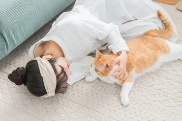 猫がストレスを感じるのはどんな時?快適な暮らしをさせてあげるには