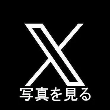 なぜ番組を休んでハワイに行くのが許される？」直球質問に長嶋一茂が珍回答芸能デイリースポーツ