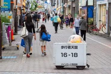 豊かな自然に囲まれ、閑静な邸宅街が広がる杉並区浜田山エリア