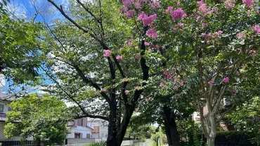 高級住宅街「浜田山」