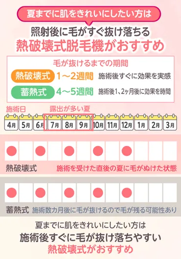 医療脱毛のベストな照射間隔とは?間隔を空けすぎた場合の効果と部位ごとの脱毛期間を解説