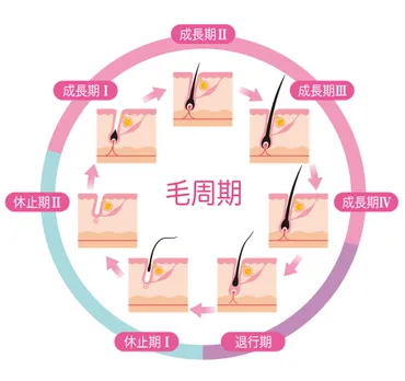 医療脱毛の間隔でベストタイミングはいつ？部位別顔・・全身に解説