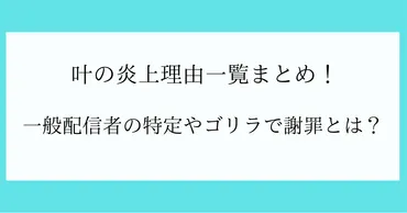 叶の炎上理由一覧まとめ！一般配信者の特定やゴリラで謝罪とは？