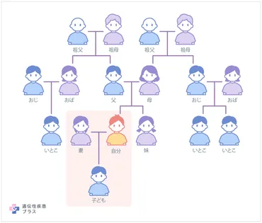 自分の家系に遺伝性疾患の人がいる場合、自分の子どもがその疾患にかかる可能性はどの程度ですか？ 