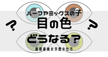 顔立ちって面白い！～遺伝、国際結婚、メイクで変わる顔立ちの不思議～？目の色、二重、ハーフ顔…顔立ちの多様性と、美しさへの探求