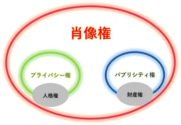 肖像権侵害と法的責任？週刊誌や盗撮問題について徹底解説！肖像権、盗撮、週刊誌報道…現代社会のリスク