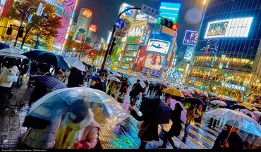 週刊誌の情報提供者に対する名誉棄損が認められなかった事例