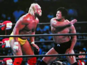 天龍源一郎とハルク・ホーガンが対戦したのは、SWS東京ドームでのSWSスーパーレッスル。 