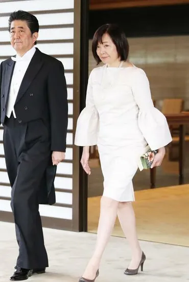 即位礼゛出席の昭恵夫人の゛炎上゛ドレス ドン小西「開き直り？」 