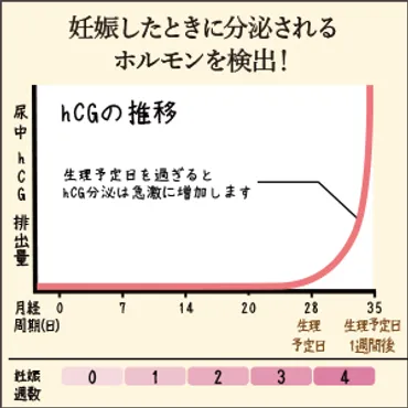 妊娠検査薬、いつ使う？種類や使い方、結果の見方を徹底解説！(？)妊娠検査薬の使い方と、その結果について
