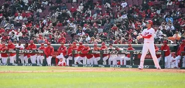 プロ野球開幕直前！熱戦の春、チケット情報、そして美顔器？ 2024年のプロ野球はどうなる？2024年 プロ野球のオープン戦、教育リーグ、チケット情報、そしてCOREFIT