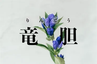竜胆」は何と読む？難読漢字クイズ