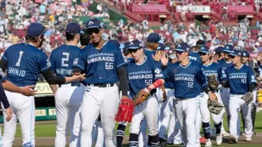 阪神、日ハムが首位ターン プロ野球前半戦終了（共同通信）