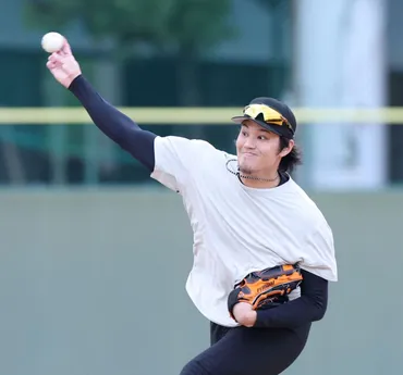 藤浪晋太郎、DeNAで再起なるか？ 阪神ファン、メジャー挑戦、そして未来への期待？藤浪晋太郎、DeNAベイスターズ入団決定！ 阪神ファンは複雑な心境？