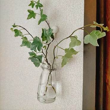 瓶を手軽に壁掛け一輪挿しに変える、ワイヤーアレンジ」 by ukiukiさん
