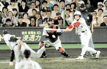 元阪神・新庄氏 伝説の敬遠球サヨナラ打を振り返る ノムさん「あの目立ちたがり屋が」/阪神タイガース/デイリースポーツ online