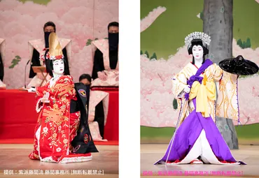 藤間爽子改め三代目藤間紫が国立劇場で襲名披露の舞踊会を開催 