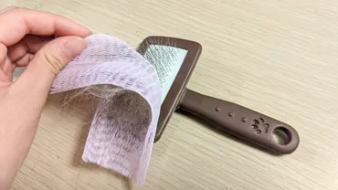猫の毛がゴッソリ！？ダイソーグッズでブラッシングを超お手軽にできるライフハックを検証してみた