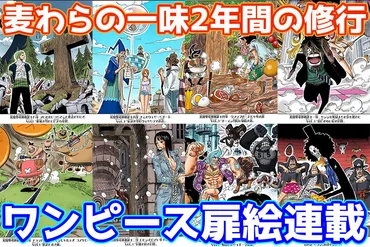 ワンピース扉絵連載11弾