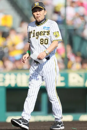 プロ野球CSファーストステージ【阪神-DeNA】 写真特集1/16